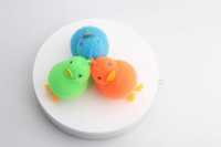 YOYO小鸭丫-IMG_4568