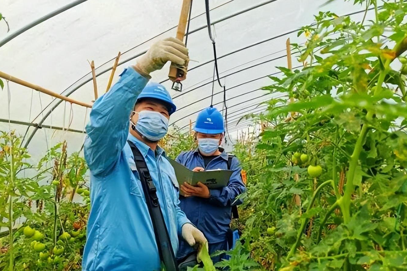 广西钦州：电力先行 服务乡村振兴