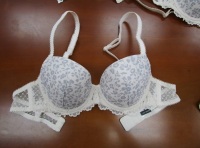 Irinapaddedbra1