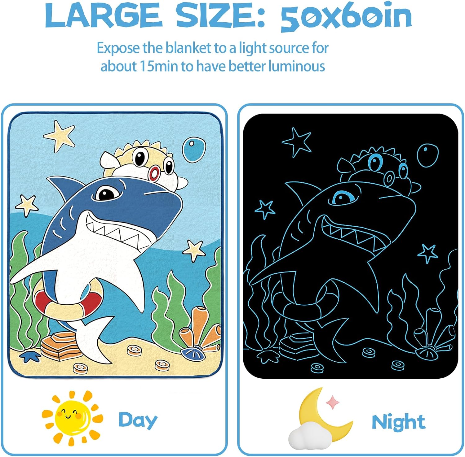 大版鲨鱼-81x-eSJcQkL._AC_SL1500_