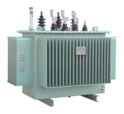 10kvPetrochemicalElectricalPowerTransformer4