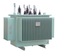 10kvPetrochemicalElectricalPowerTransformer4