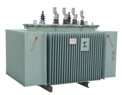 10kvPetrochemicalElectricalPowerTransformer5