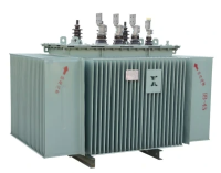10kvPetrochemicalElectricalPowerTransformer5