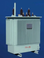 10kvPetrochemicalElectricalPowerTransformer6