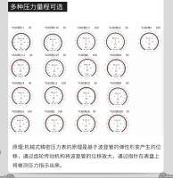 双刻度精密压力表，马鞍山仪表厂，径向安装精密压力表0-8500psi，0-60mpa，size，多种量程可选，OEM,ODM定制压力表