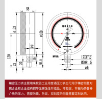 双刻度精密压力表，马鞍山仪表厂，径向安装精密压力表0-8500psi，0-60mpa，size