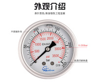 轴向不锈钢真空压力表0-250bar，0-3500Psi