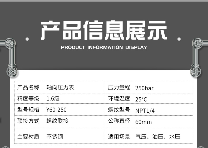 1.6级轴向不锈钢真空压力表0-250bar