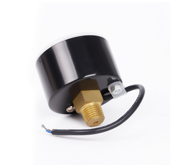 双针气压表X100kPa,单针气压表-马鞍山鹰眼仪表有限公司