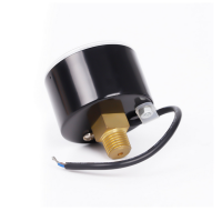 双针气压表X100kPa,单针气压表-马鞍山鹰眼仪表有限公司