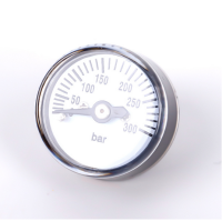 Chinapressuregaugefactory0-300bar
