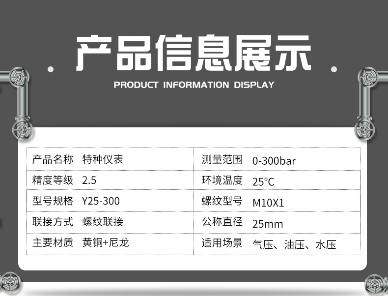 特种仪表y25-300