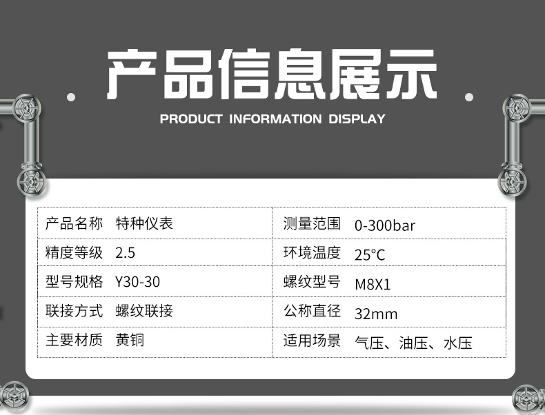 定制压力表特种仪表300bar压力表接头黄铜气压油压螺纹联接空气压力表，鹰眼仪表