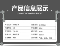 定制压力表特种仪表300bar压力表接头黄铜气压油压螺纹联接空气压力表，鹰眼仪表