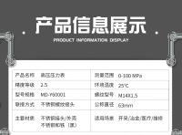 MD-Y60001高压压力表精度等级1.6级