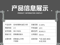 MD-YN-001径向耐震充油压力表，精度等级2.5