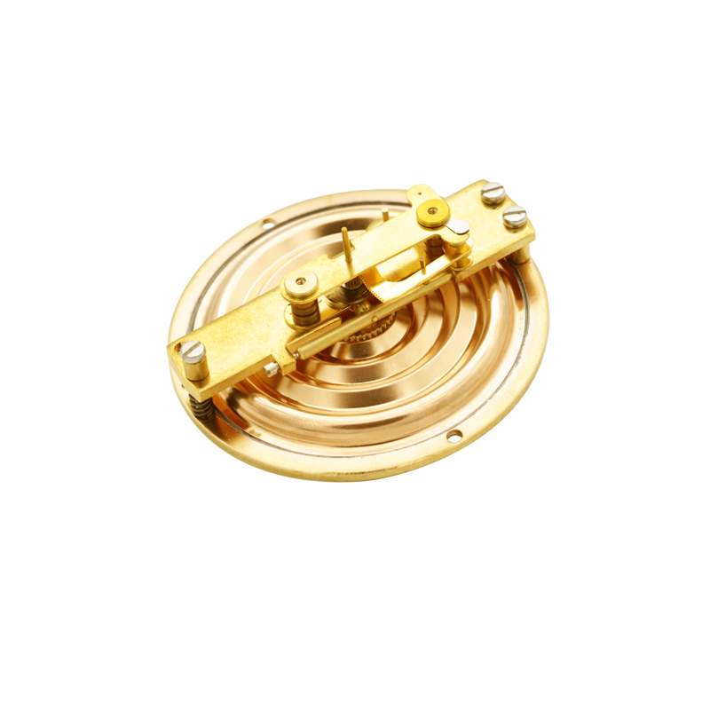 DiaphragmCapsulePressureGauge-Overvoltageprotectiontype压力表膜片