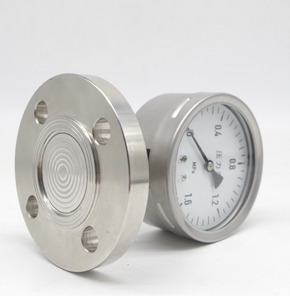 shockresistantflangeDN25pressuregauge