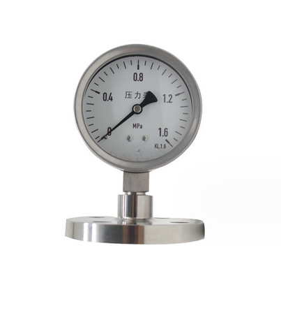 StainlesssteeldiaphragmpressuregaugewithshockresistantflangeDN25pressuregauge