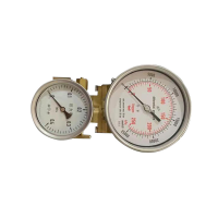 BSWK-500NM.XJ25.P10S