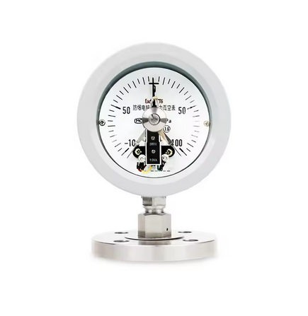 explosion-proofelectriccontactpressuregauge-eagleeyeinstrument