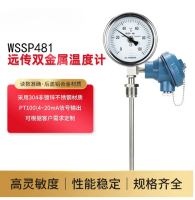 信号输出远传温度计