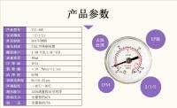 VCR公母螺纹洁净压力表厂家鹰眼仪表.jpg