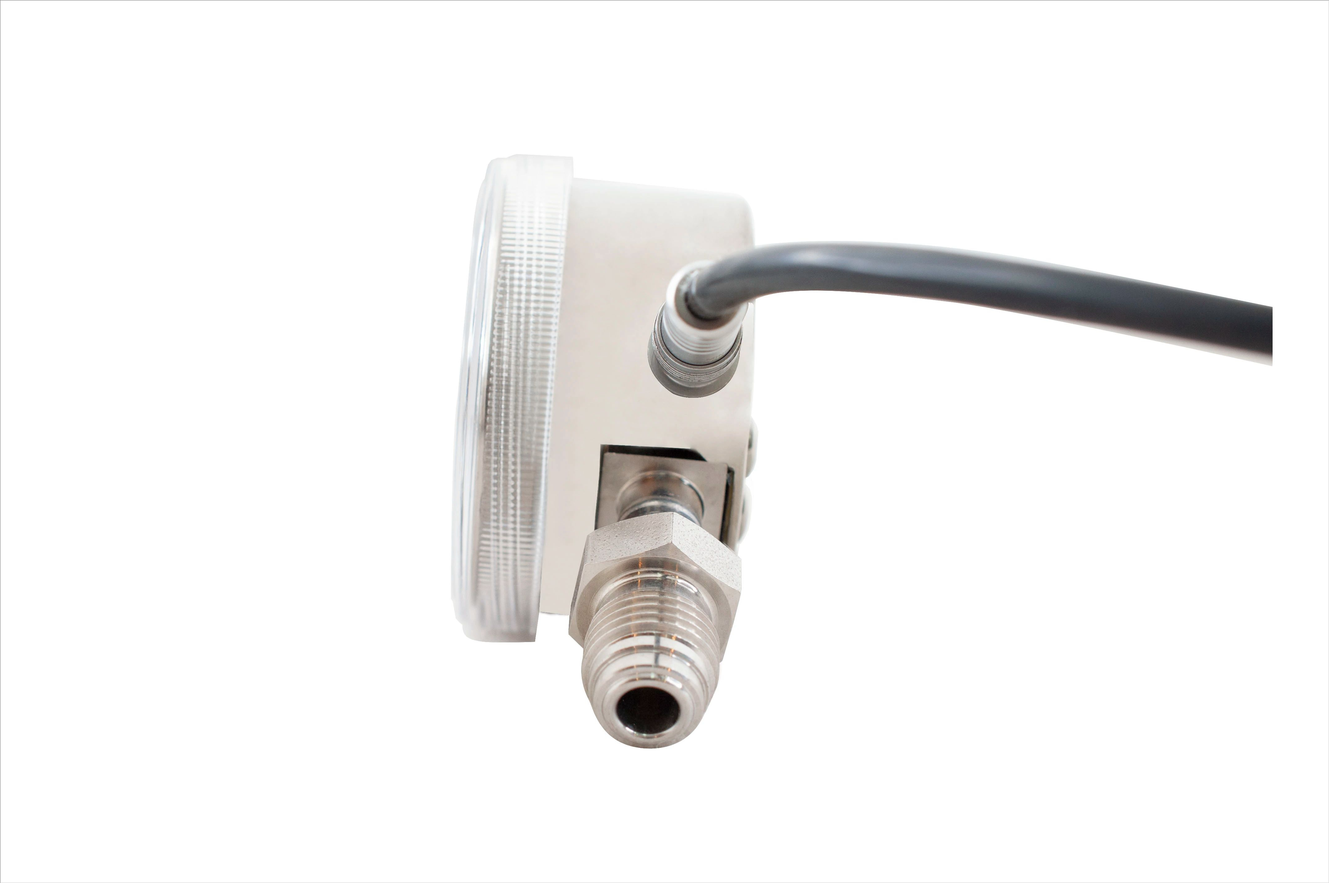 316LstainlesssteelEPgradepressuregauges