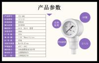 PFA接液材质洁净压力表