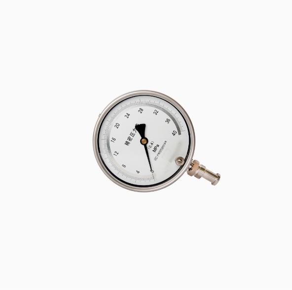 Housing304stainlesssteelcleanprecisionpressuregauge