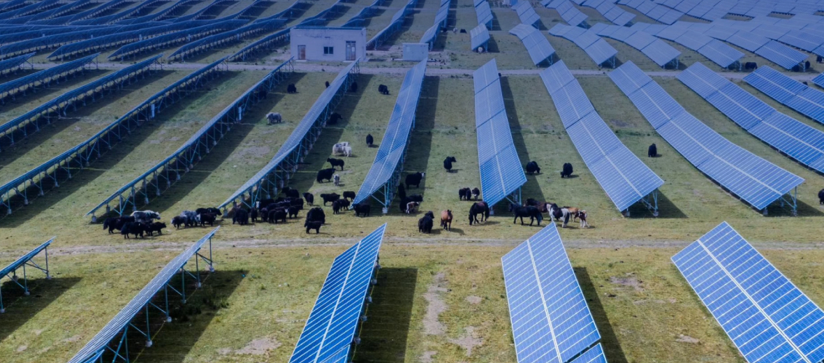 集中式电站光伏