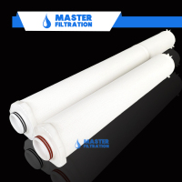 Pentairhighflowfiltercartridgereplacement-3
