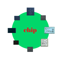 chip