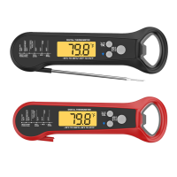 LCDDisplayDigitalThermometer