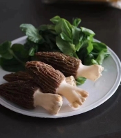 27ccc7c7-def4-4190-a724-fe2af2df927f