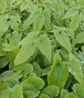 Snipaste_2024-04-23_12-37-51