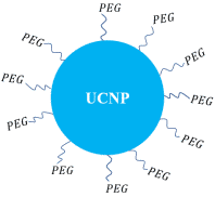 QQ图片20180626101358