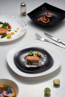 玻璃瓷7303525_副本