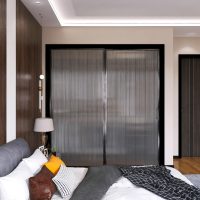 长虹玻璃-磨砂款