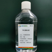 YGBG02