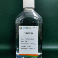 YGBP01