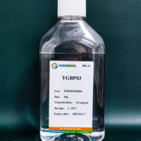 YGBP03