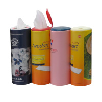 TC-80Y_automatic_canister_facial_tissue_packing_machine_sample