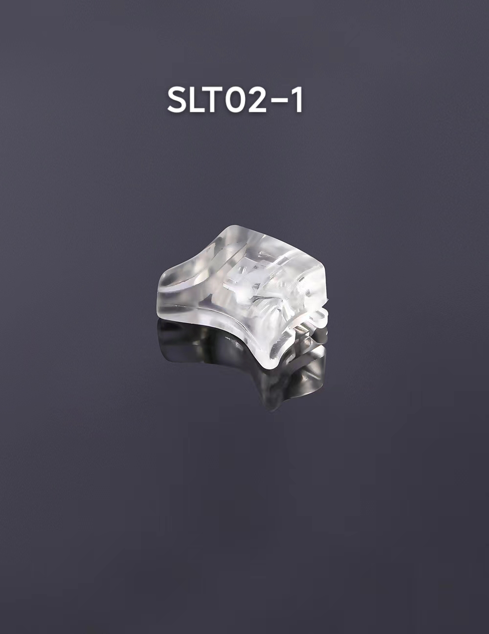 SLT02-1