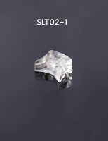 SLT02-1