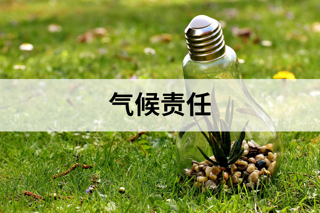 我们深知气候变化带来的系统性挑战，承诺在业务运营中采取有效措施减少碳足迹与环境影响，包括但不限于：开展温室气体核查与碳管理；推广绿色能源与循环资源的使用；降低资源消耗与废弃物排放；