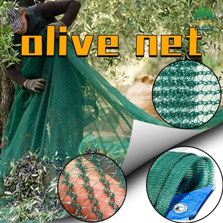 oliveharvestmesh-2