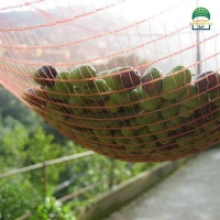 oliveharvestmesh-3