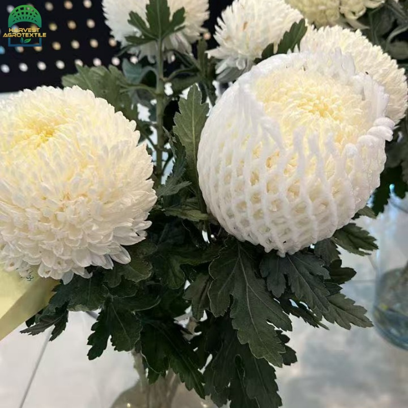 flowerfoamnet-1